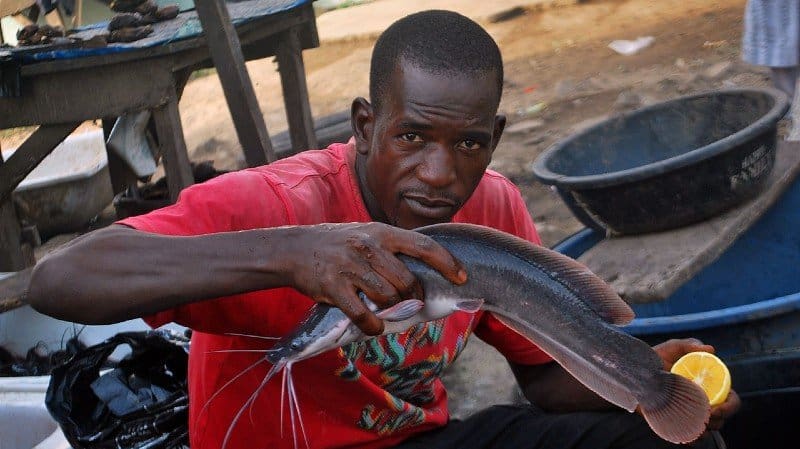 1280px Nigerian Fish sellers 13 How to Hold a Catfish