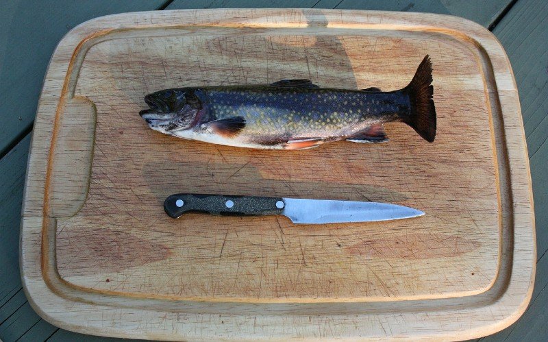 How to Clean Trout