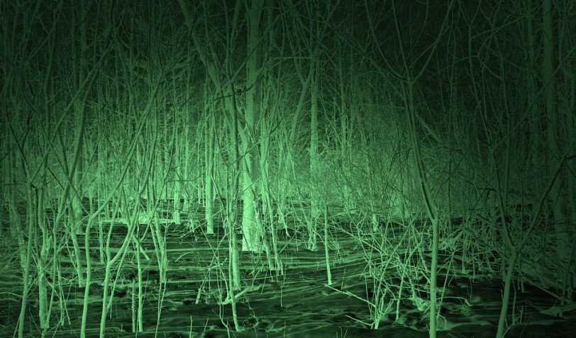 Why Is Night Vision Green?