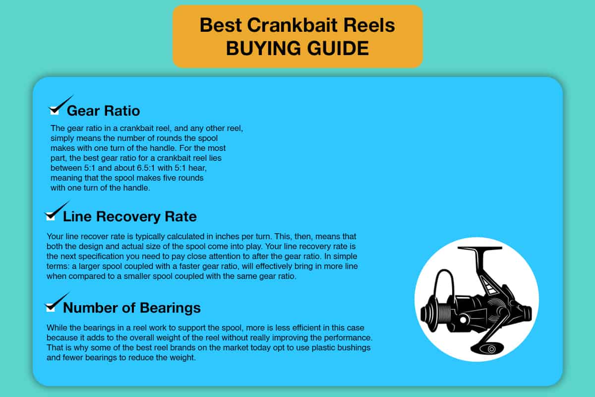 The 6 Best Crankbait Reels for the Money