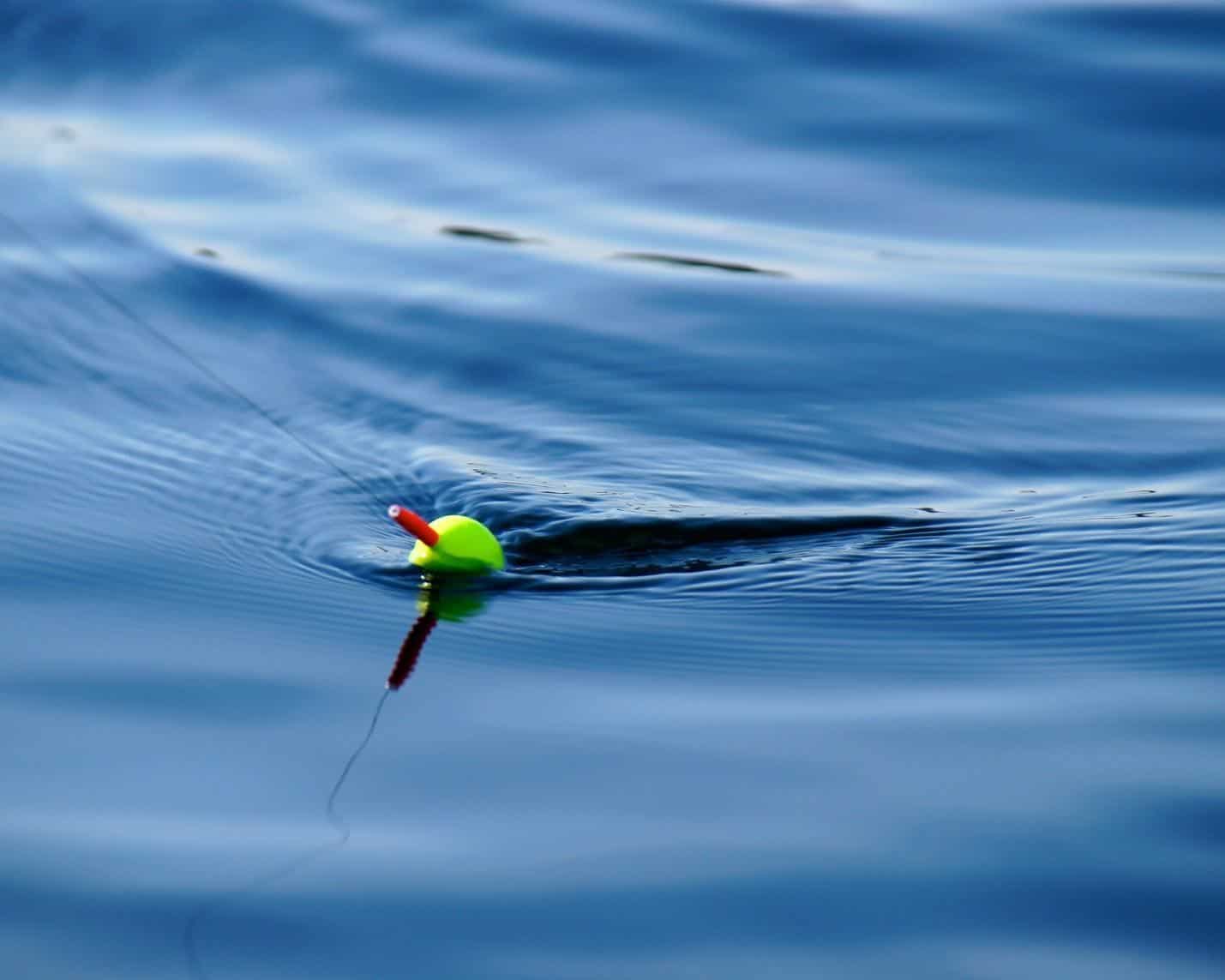 A green bobber in clearwater