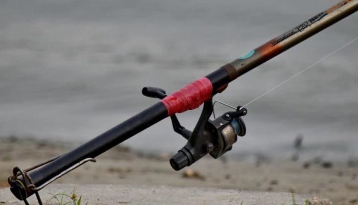 Best Fishing Rod for Bass