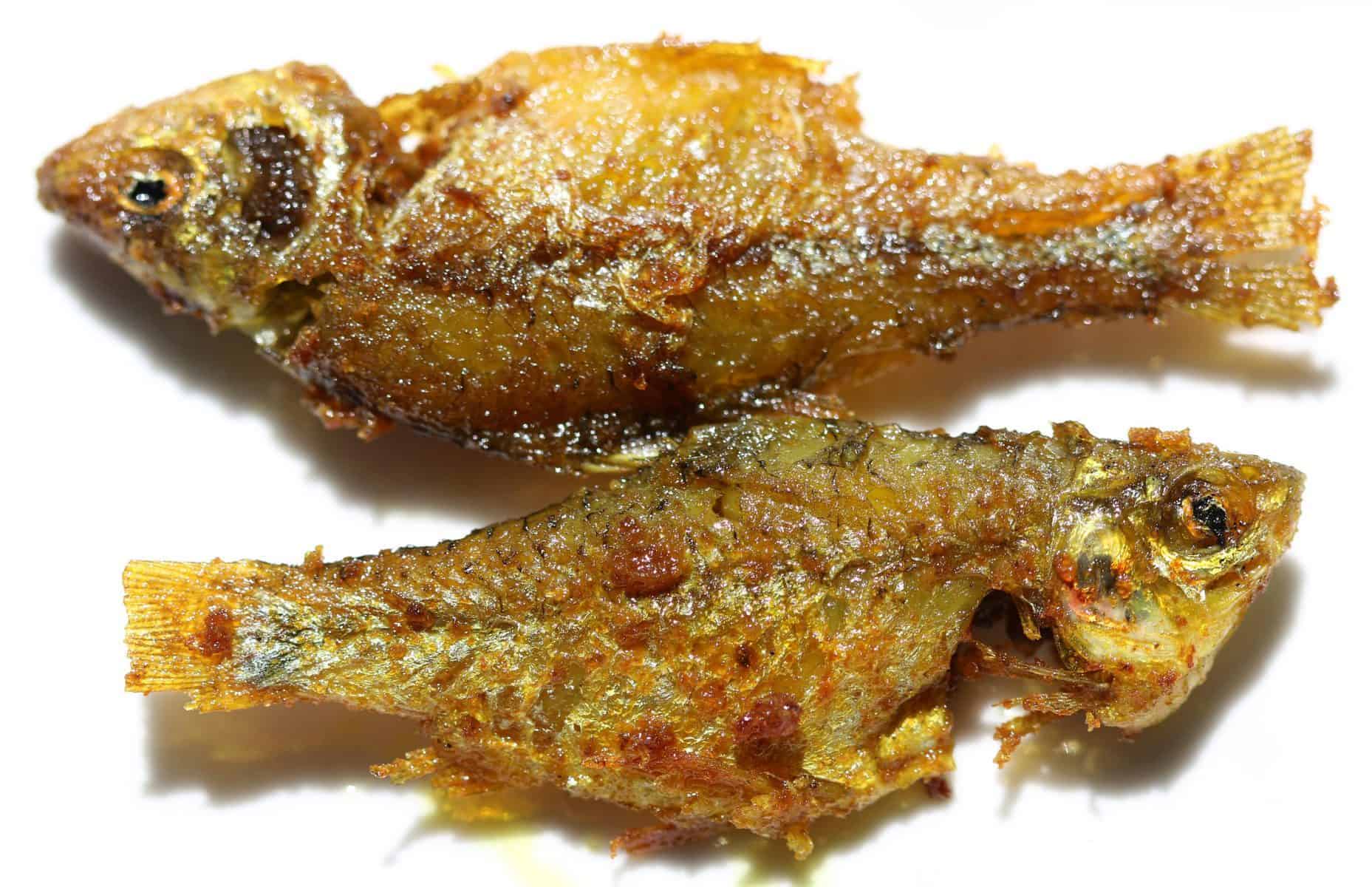 Best Oil to Fry Fish: How to Choose - Boat Safe