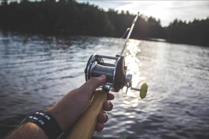 Person Holding Fishing Reel