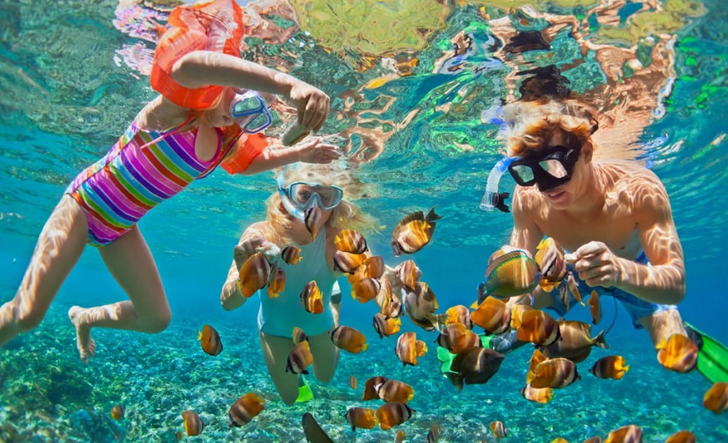 Snorkelers with fish underwater