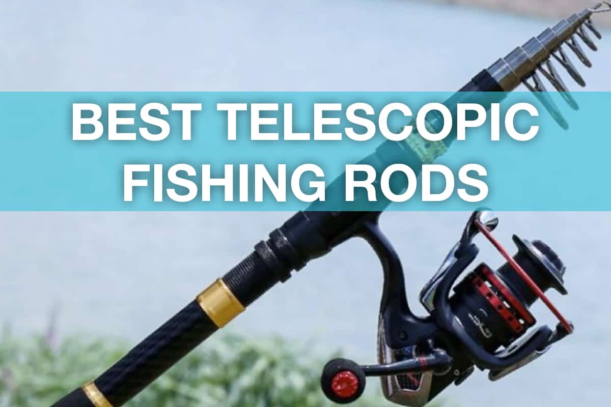  Best Telescopic Fishing Rods of 2022: Expert Guide