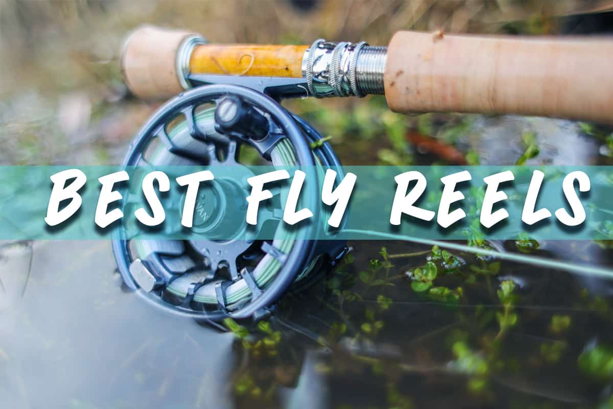 Ranking The Best Fly Reels of 2024