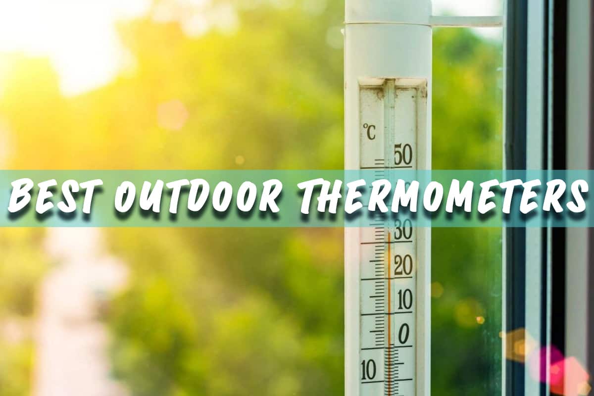 Top 10 Outdoor Thermometers