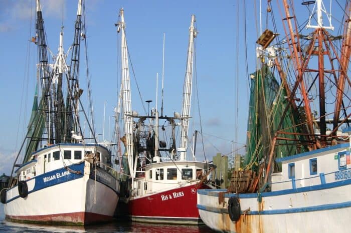 Shrimp Boats: Everything You Need To Know
